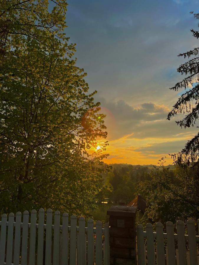 Hotel Konaci Nikola Banja Vrujci Gornja Toplica Zewnętrze zdjęcie
