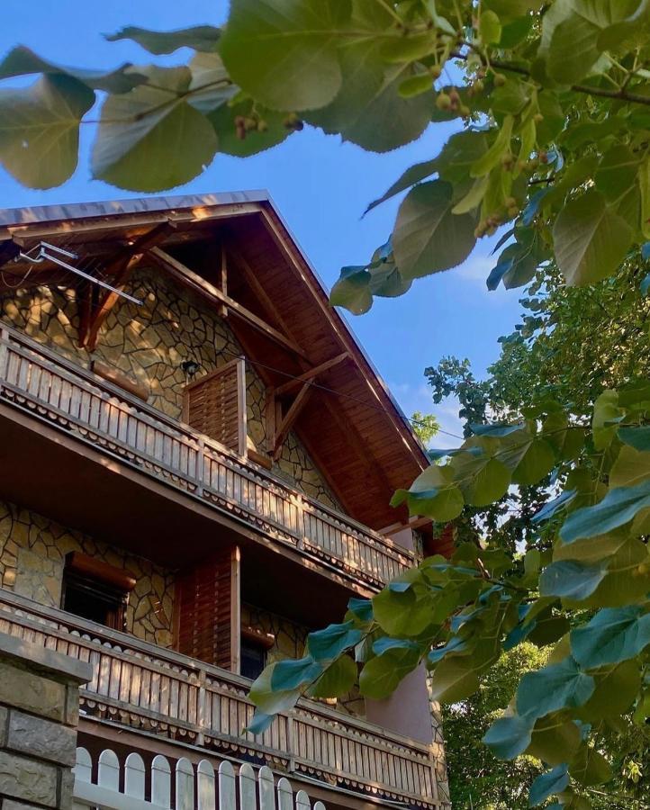 Hotel Konaci Nikola Banja Vrujci Gornja Toplica Zewnętrze zdjęcie